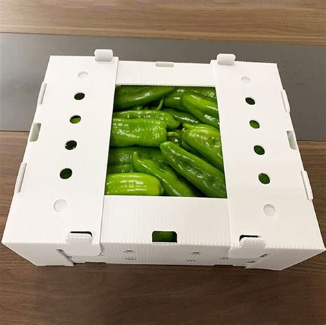 Custom Plastic Fruit and Vegetable Packaging Boxes - Polyflute®