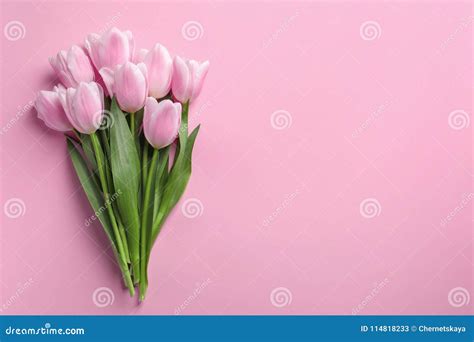 Beautiful Tulips for Mother`s Day Stock Image - Image of blossom ...