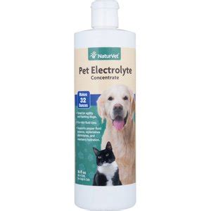 NATURVET Electrolytes Concentrate Liquid Nutritional Supplement for Cats & Dogs, 16-oz bottle ...