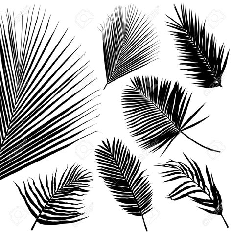 palm tree leaf vector - Clip Art Library