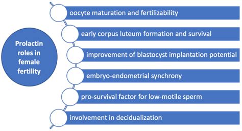 Pharmaceuticals | Free Full-Text | Prolactin Relationship with Fertility and In Vitro ...