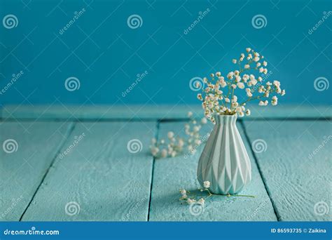 Baby`s Breath - Gypsophilia Paniculata - in Vase on Blue Background Stock Image - Image of ...