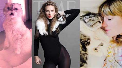 Taylor Swift: How many cats does Taylor Swift have? Cat names and ...