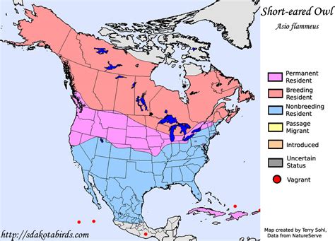 Short-eared Owl - Species Range Map