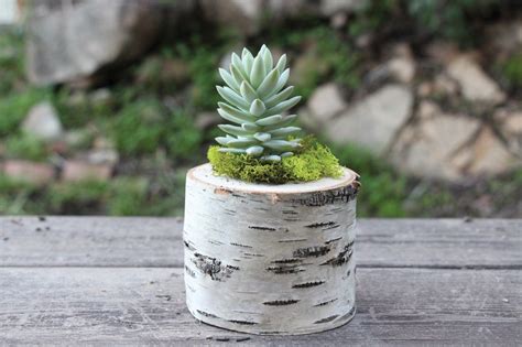 12 Ways to Build a Log Planter | Guide Patterns