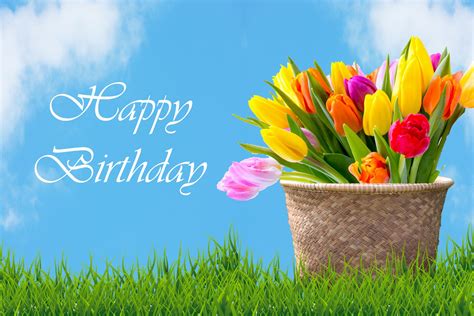 Tulips In Basket Birthday Card Free Stock Photo - Public Domain Pictures
