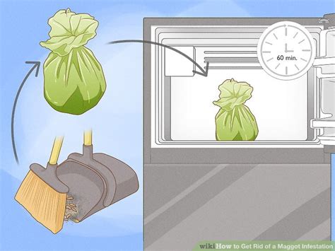 4 Ways to Get Rid of a Maggot Infestation - wikiHow