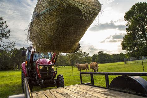 Your Guide to Hay Baling and Production | Yanmar Tractor