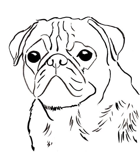 Baby Pug Coloring Pages at GetColorings.com | Free printable colorings ...