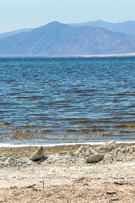 What To Do On A Day Trip to the Salton Sea | Tonya Staab