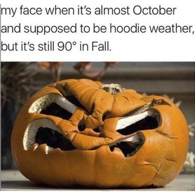 21 Hilarious Fall Memes to Crack You Up When The Seasons Change – The ...