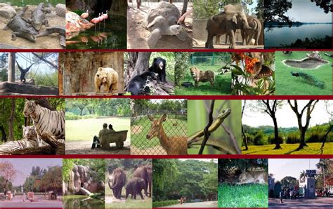 Beautiful Hyderabad City: Nehru Zoological Park