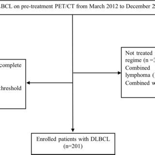 Flowchart of DLBCL patient selection | Download Scientific Diagram