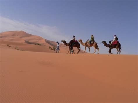 Budget camel safari in Morocco. Helping Dreamers Do