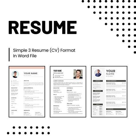 Simple 3 Resume (CV) Format in Word File