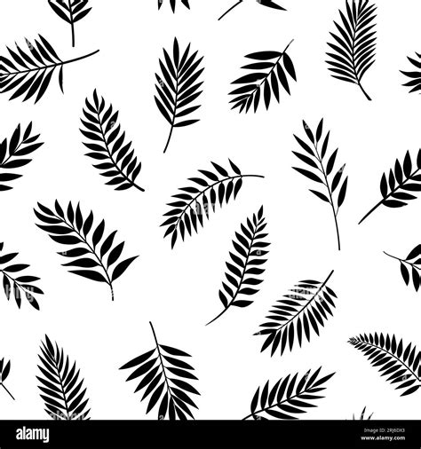 Black and White Vector Seamless Pattern with Tropical Palm Leaves. Tropical Exotic Foliage ...