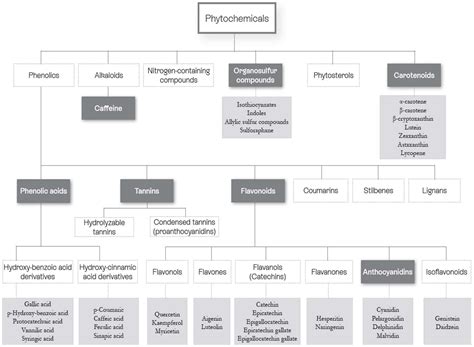 Nutrients | Free Full-Text | Clinical Evidence of the Benefits of Phytonutrients in Human Healthcare