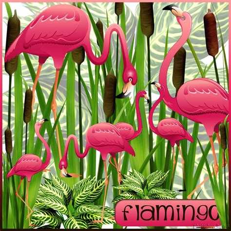 clip art pink flamingo - Clip Art Library