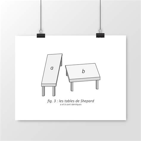 Optical Illusion Illustration: Shepard's Tables - Etsy