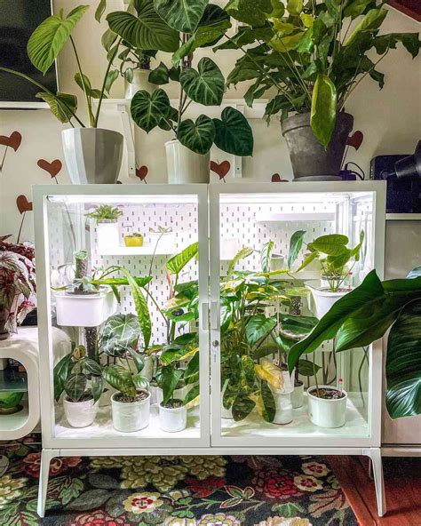 How To Build A DIY Indoor Greenhouse (& Why You Need One), 55% OFF