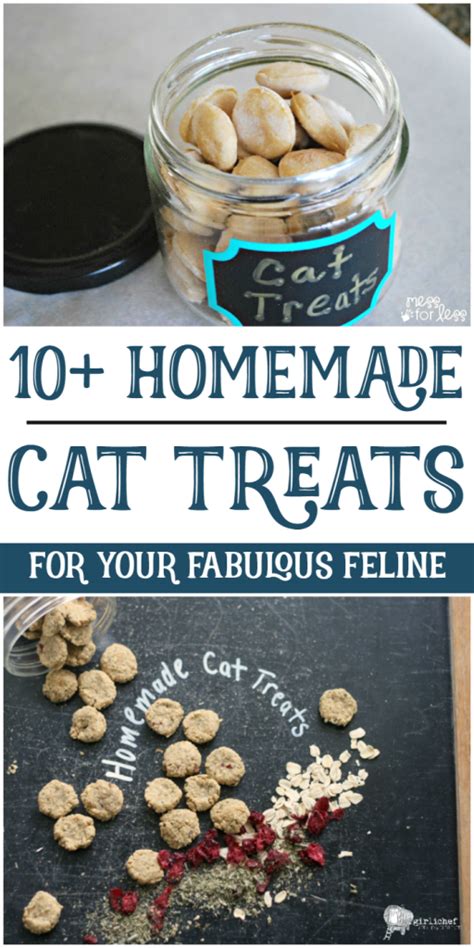 10+ Homemade Cat Treats for Your Fabulous Feline - Crazy Cat Lady