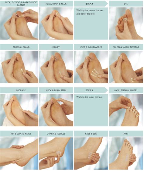 Complete self-help foot sequence | Foot massage techniques, Massage techniques, Massage therapy