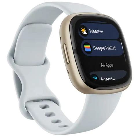 Fitbit Sense 2 - Gadget Central