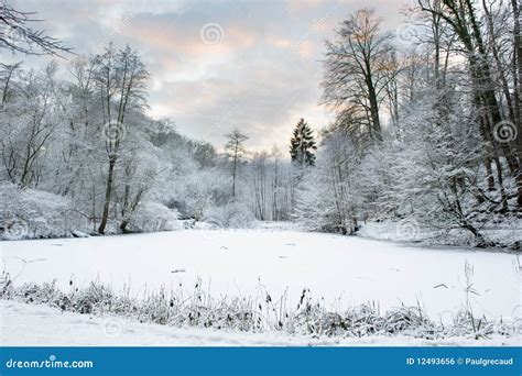 Frozen lake stock photo. Image of nature, scenery, mountains - 12493656