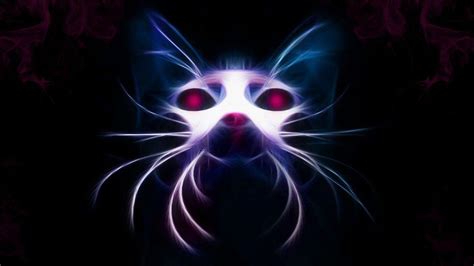 Neon Cat HD Wallpapers - Top Free Neon Cat HD Backgrounds - WallpaperAccess