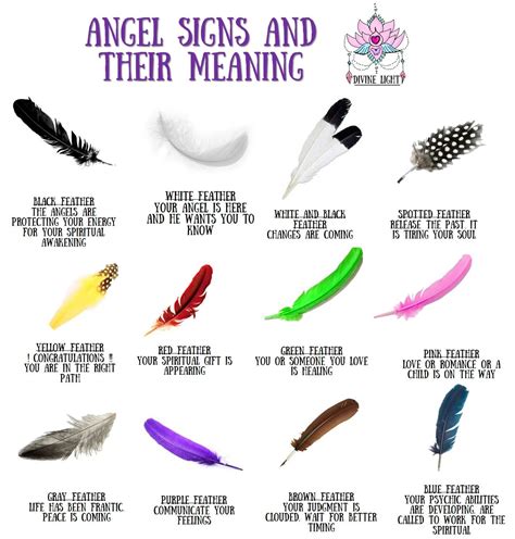 feather signs from angels | Feather meaning, Witchcraft, Finding feathers