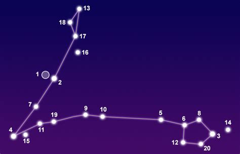 Pisces Star Constellation