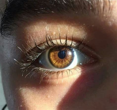 Pin by Sumaya khaled on eyes | Brown eyes aesthetic, Eye photography, Aesthetic eyes