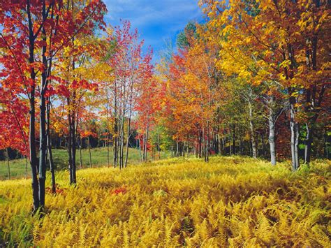 Vermont Fall Foliage 2017: How to Experience the Best of the Season ...