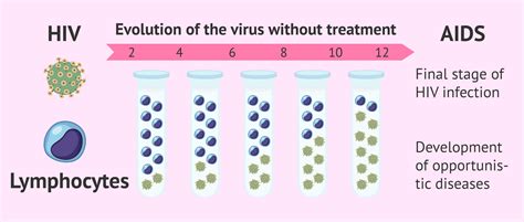 Hiv Infection Stages