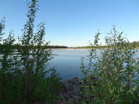 Beautiful Week on the Salcha River The Salcha... | My Public Lands