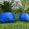 Oddish Planter Oddish Flower Succulent Flower Pot Plant Pot Blue Ceramic Planter Dropshiping ...