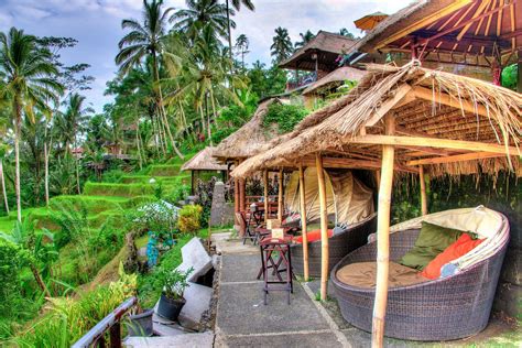 Monkey Forest and Rice Terrace in Ubud, Bali | Ubud, Bali indonesia, Voyage