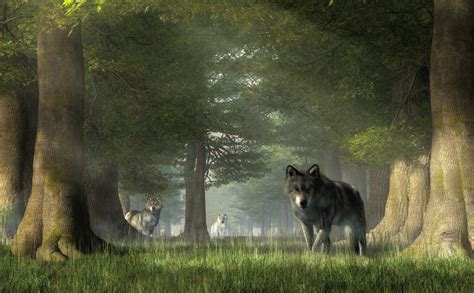 Wolves in the Forest by deskridge on @DeviantArt | Timber wolf, Forest, Wolf eyes