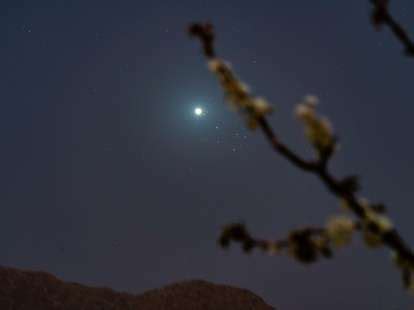 Is Venus the Morning Star Right Now? How to Spot the Planet in the Sky - Thrillist