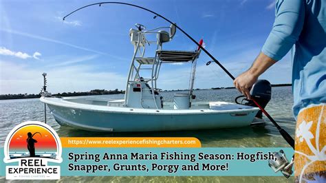 Spring Anna Maria Fishing Season: Hogfish, Snapper, Grunts, Porgy and More!