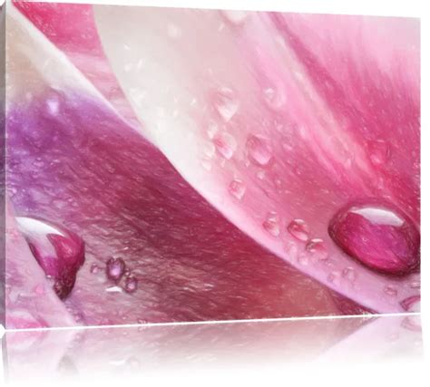 ROSANE TULIP LEAVES With Water Drop Art Crayon Effect Canvas Picture ...