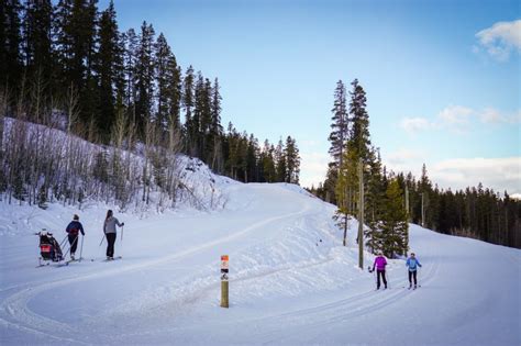 15 Best Winter Activities in Canmore (+Tips From a Local)