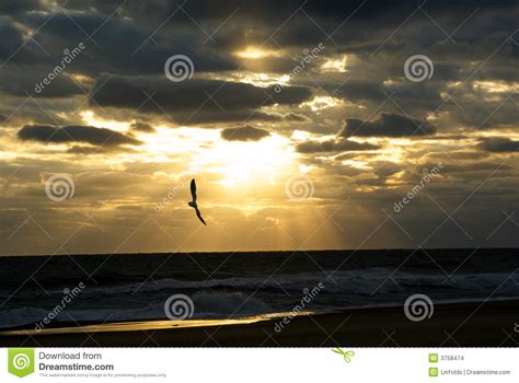 Sunrise at the Beach stock photo. Image of pretty, heaven - 3758474