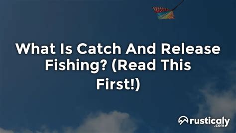 What Is Catch And Release Fishing? The Best Explanation