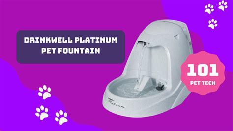 Best Pet Drinking Fountain 2021 - Zarbi