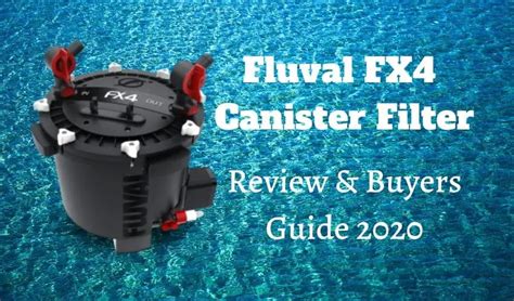 Fluval FX4 Review | Meet the FX6’s Baby Brother – Fishkeeping Forever