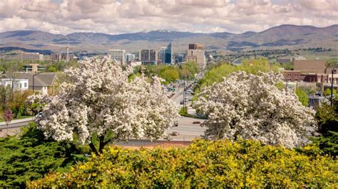 Spring in the City of Boise Idaho with Flowering Trees Stock Photo ...