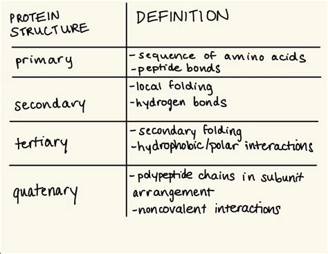 SOLVED: match the terms: primary structure secondary structure tertiary structure [options ...