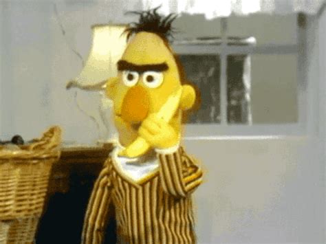 bert and ernie gifs | Tumblr