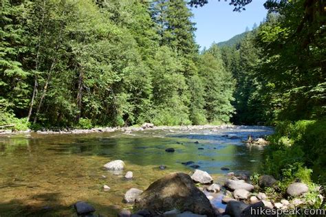 Old Salmon River Trail | Welches | Oregon | Hikespeak.com